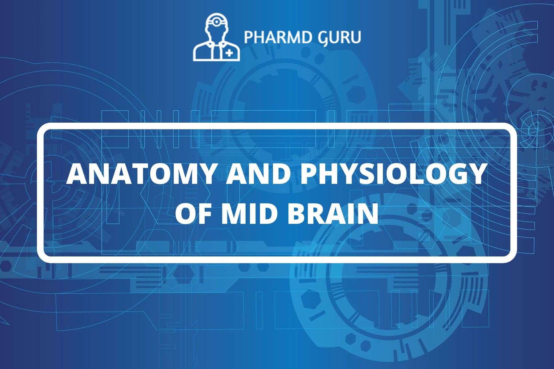 Anatomy And Physiology Of Mid Brain Pharmd Guru