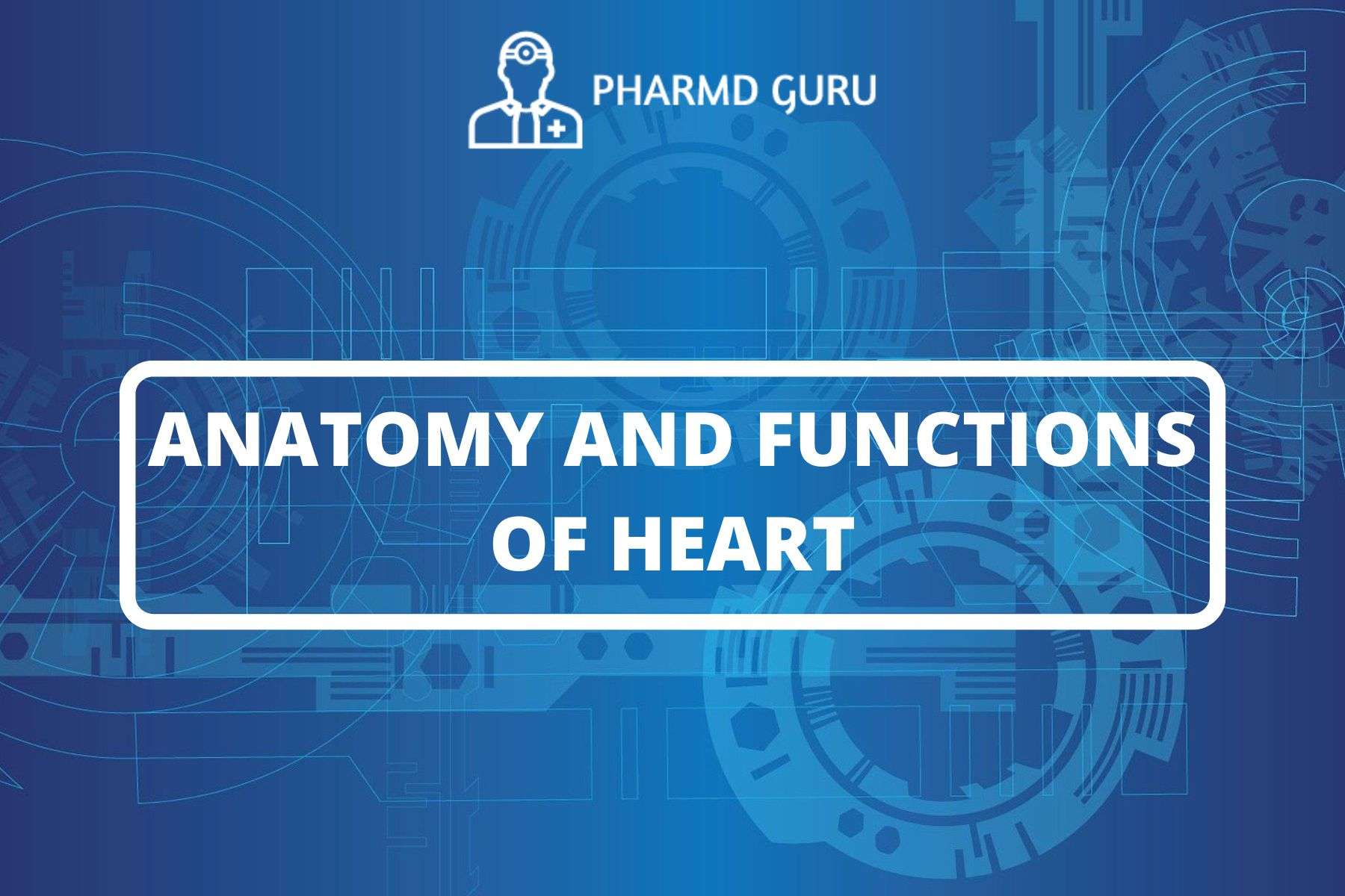 14-anatomy-and-functions-of-heart-pharmd-guru