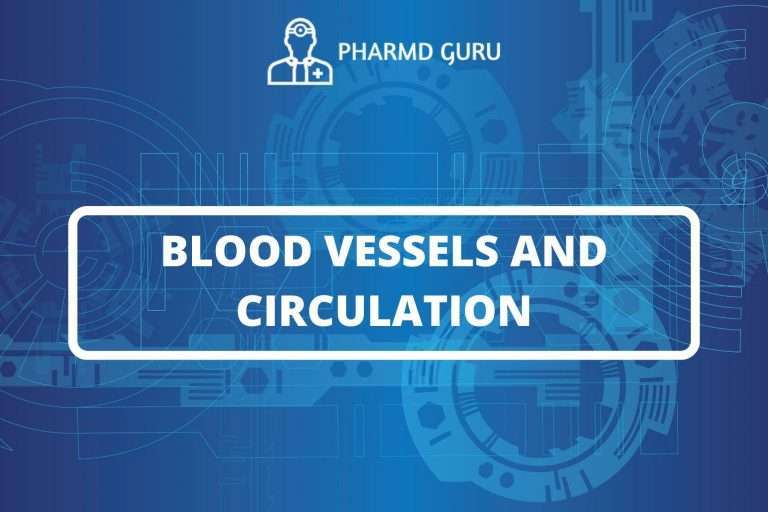 BLOOD VESSELS AND CIRCULATION