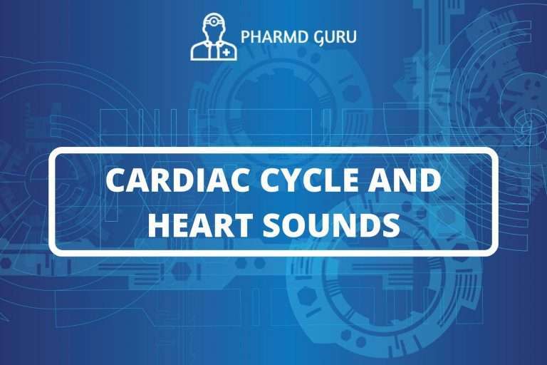 CARDIAC CYCLE AND HEART SOUNDS