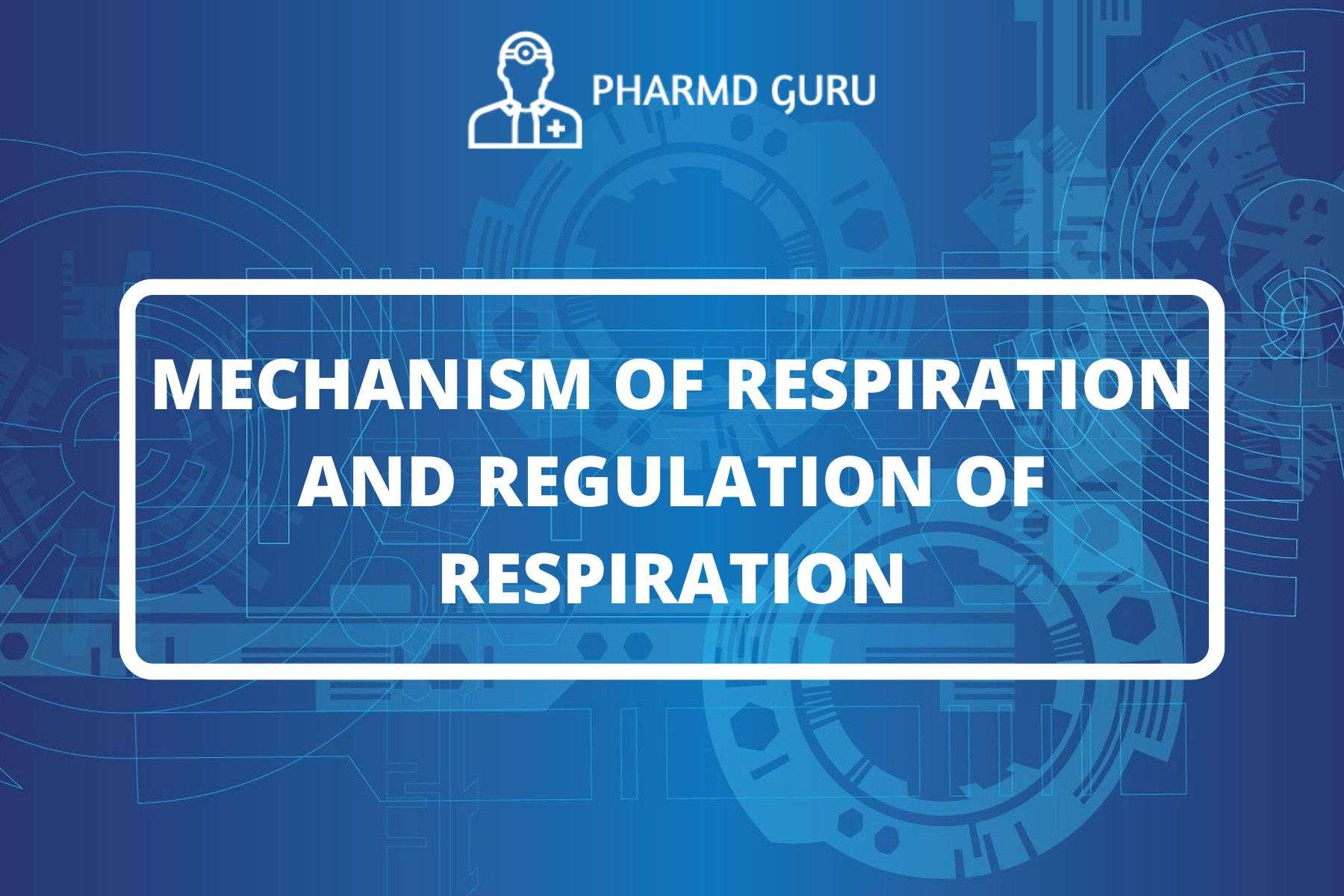 21. MECHANISM OF RESPIRATION AND REGULATION OF RESPIRATION