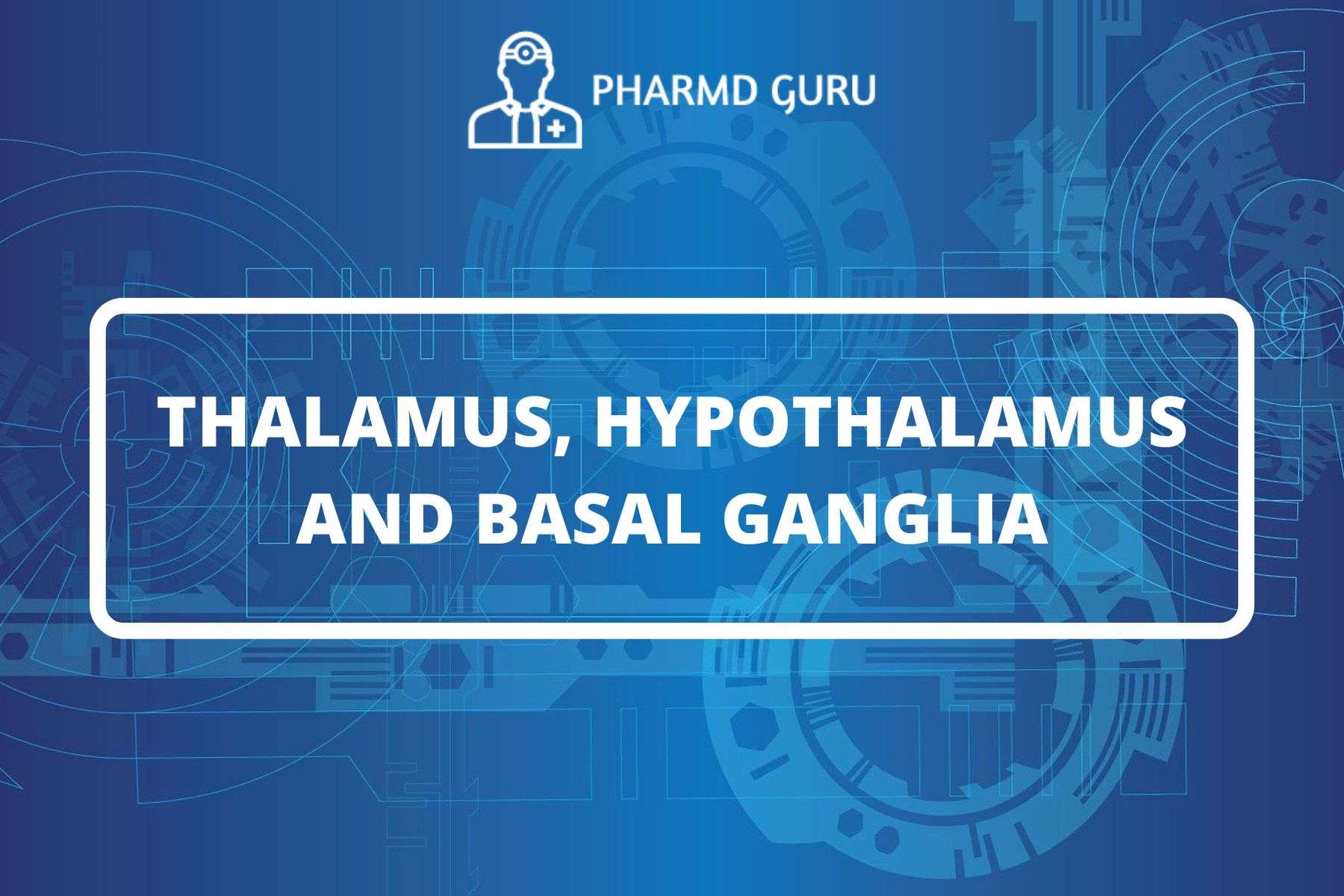 32. THALAMUS, HYPOTHALAMUS AND BASAL GANGLIA PHARMD GURU