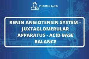 RENIN ANGIOTENSIN SYSTEM – JUXTAGLOMERULAR APPARATUS - ACID BASE BALANCE