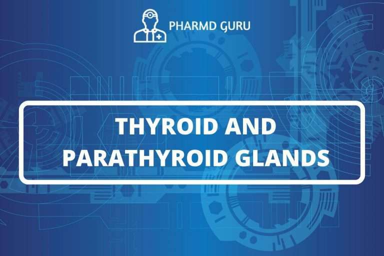 THYROID AND PARATHYROID GLANDS