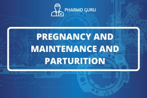 PREGNANCY AND MAINTENANCE AND PARTURITION