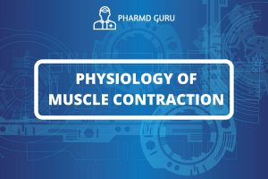 PHYSIOLOGY OF MUSCLE CONTRACTION