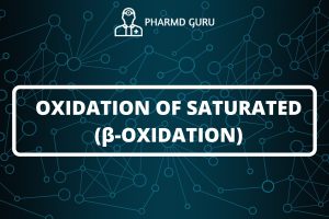OXIDATION OF SATURATED (β-OXIDATION)
