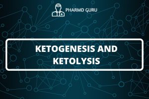 KETOGENESIS AND KETOLYSIS