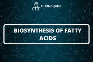 BIOSYNTHESIS OF FATTY ACIDS