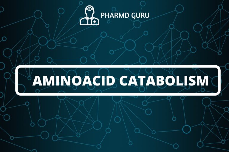 AMINO ACID CATABOLISM