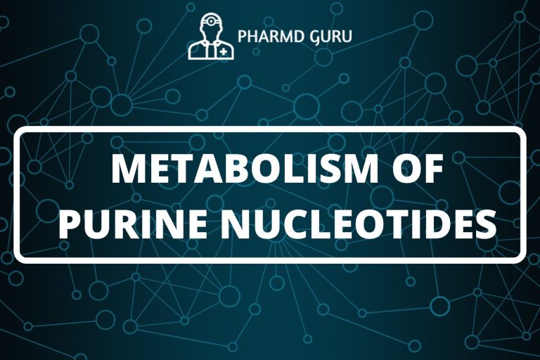 METABOLISM OF PURINE NUCLEOTIDES