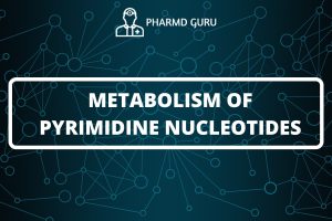METABOLISM OF PYRIMIDINE NUCLEOTIDES