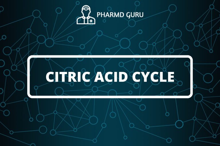 CITRIC ACID CYCLE (TCA cycle)