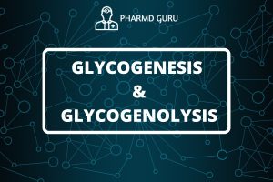 GLYCOGENESIS AND GLYCOGENOLYSIS