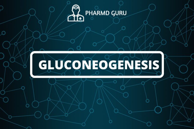 GLUCONEOGENESIS