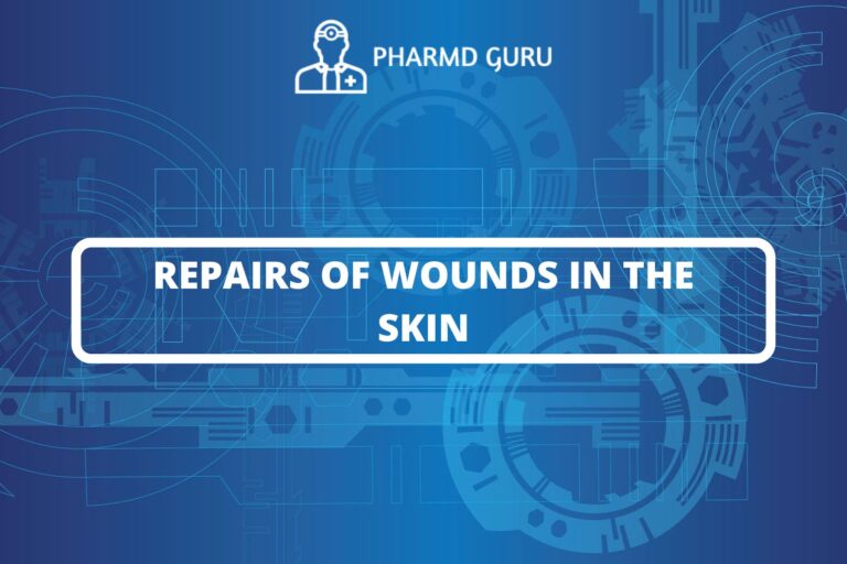 REPAIRS OF WOUNDS IN THE SKIN