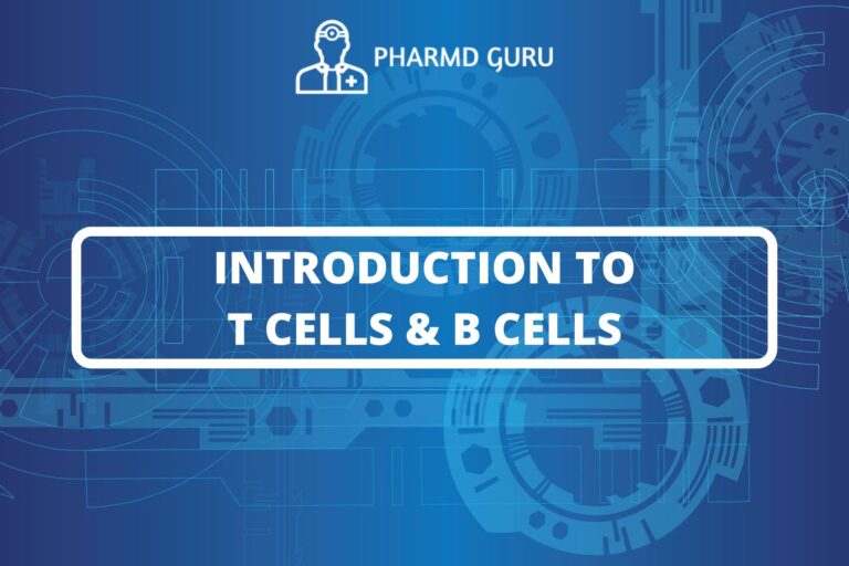 INTRODUCTION TO T CELLS AND B CELLS
