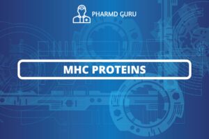MHC PROTEINS