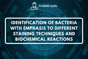 IDENTIFICATION OF BACTERIA WITH EMPHASIS TO DIFFERENT STAINING TECHNIQUES AND BIOCHEMICAL REACTIONS