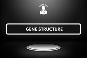 GENE STRUCTURE