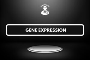 GENE EXPRESSION