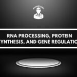 RNA PROCESSING, PROTEIN SYNTHESIS, AND GENE REGULATION