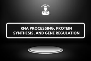 RNA PROCESSING, PROTEIN SYNTHESIS, AND GENE REGULATION